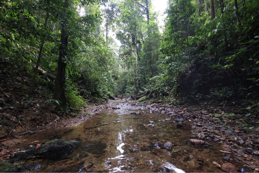 Mengapa Kalimantan?