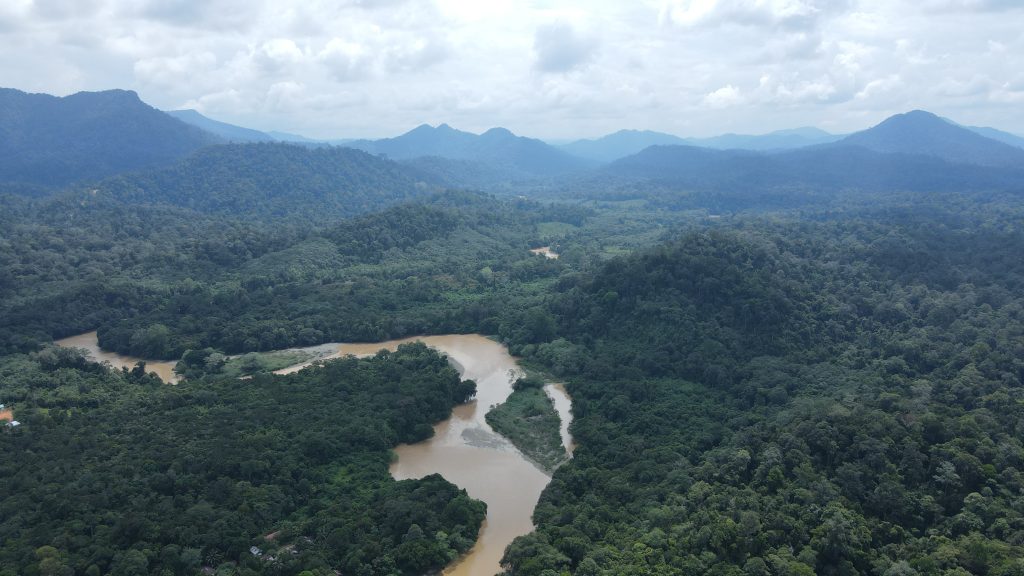 Penggunaan Teknologi LiDAR dan Logfisher dalam Penerapan Metode RIL-C di Hutan Produksi PT WBPU
