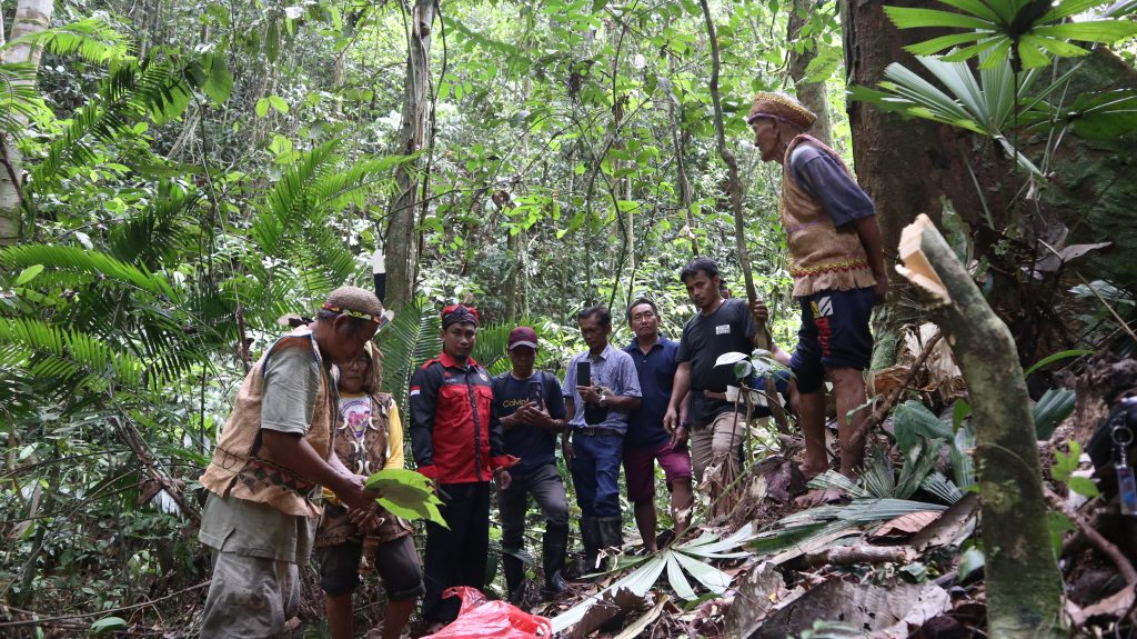 PT WBPU Gelar Acara Syukuran Pembukaan Area RKT 2024 bersama Masyarakat Adat di Kampung Long Pelay