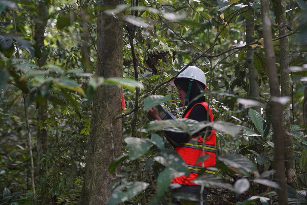 PT WBPU Bekerjasama dengan YKAN dan UGM Terkait Penelitian Efektifitas Penerapan Metode RIL-C di Area Konsesi Perusahaan